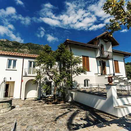 Tenuta Calitto Wine Resort E Spa อีสเกีย ภายนอก รูปภาพ