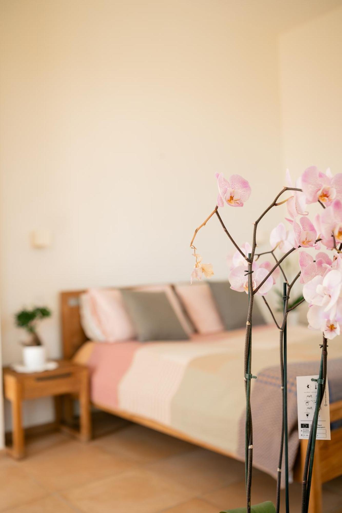 Tenuta Calitto Wine Resort E Spa อีสเกีย ภายนอก รูปภาพ