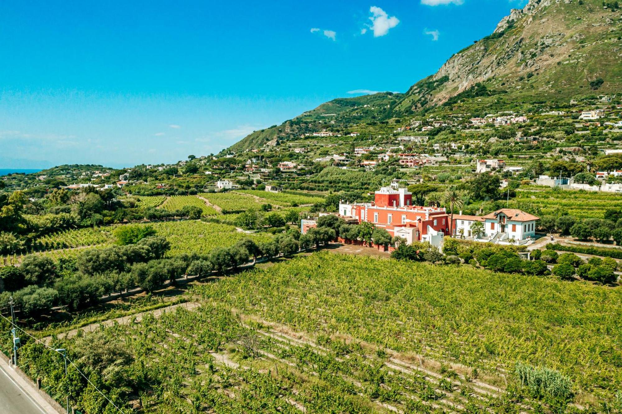 Tenuta Calitto Wine Resort E Spa อีสเกีย ภายนอก รูปภาพ