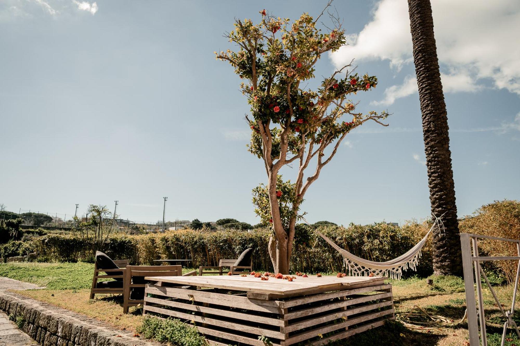 Tenuta Calitto Wine Resort E Spa อีสเกีย ภายนอก รูปภาพ
