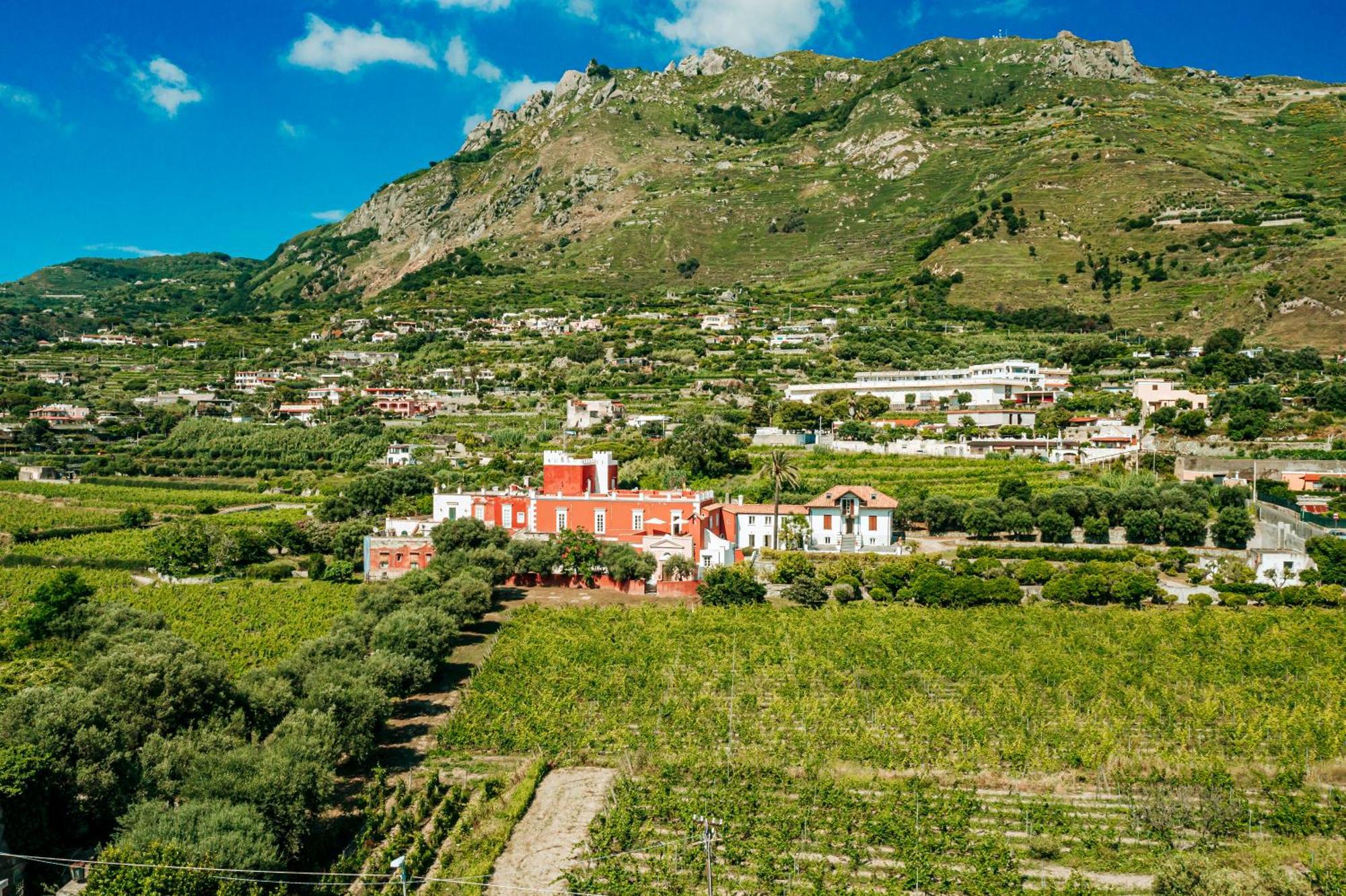 Tenuta Calitto Wine Resort E Spa อีสเกีย ภายนอก รูปภาพ