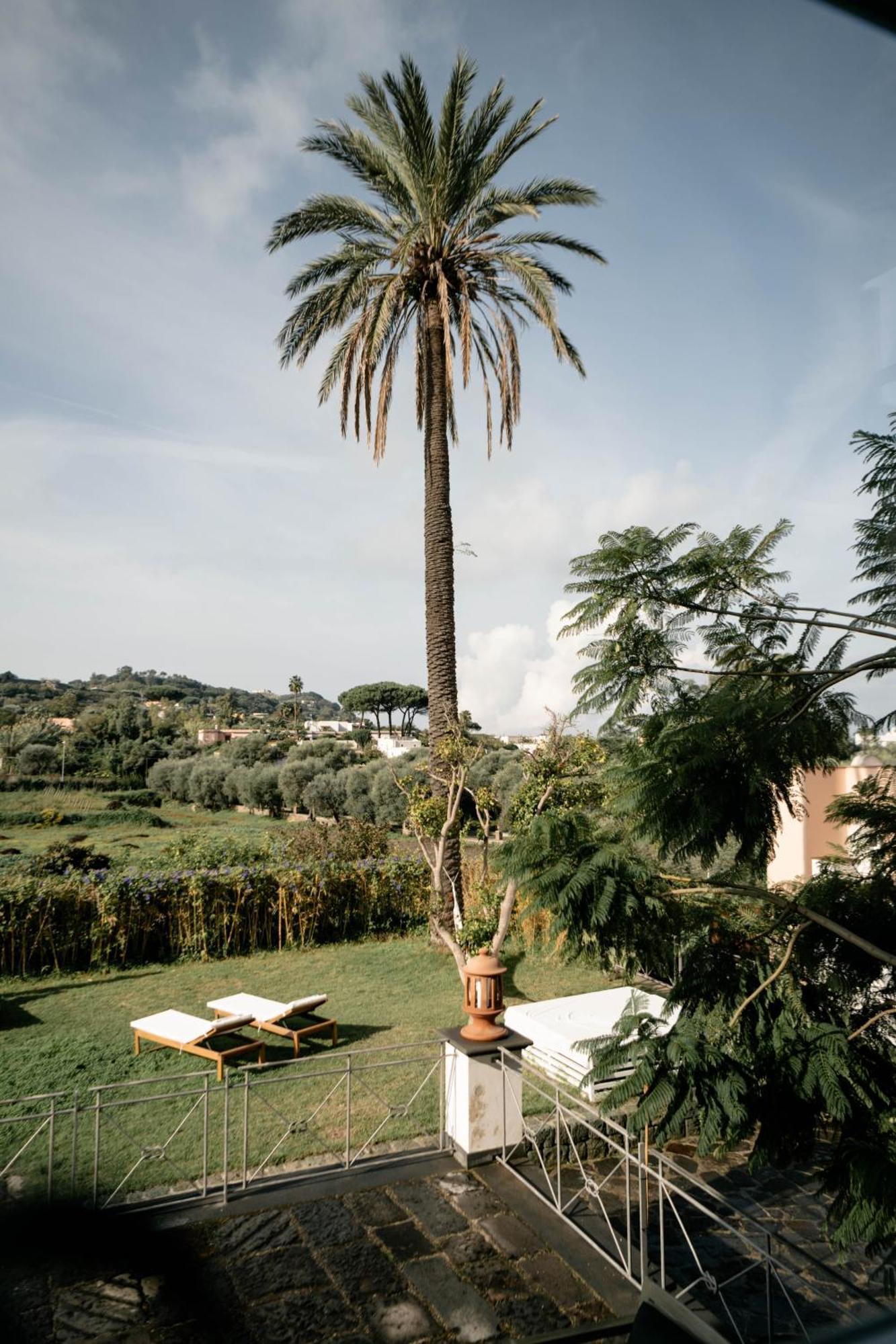 Tenuta Calitto Wine Resort E Spa อีสเกีย ภายนอก รูปภาพ