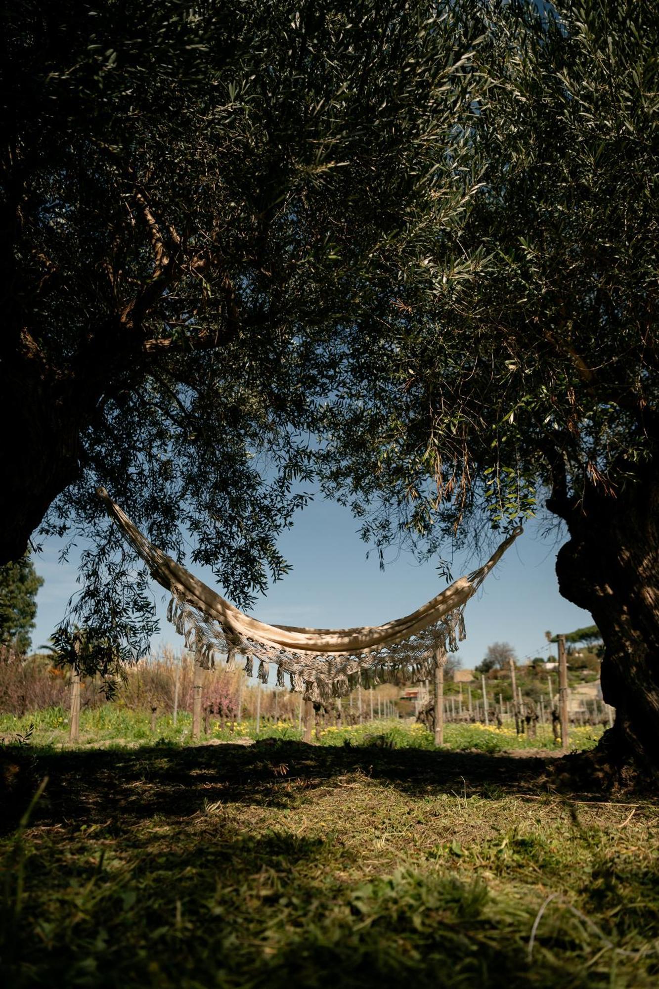 Tenuta Calitto Wine Resort E Spa อีสเกีย ภายนอก รูปภาพ