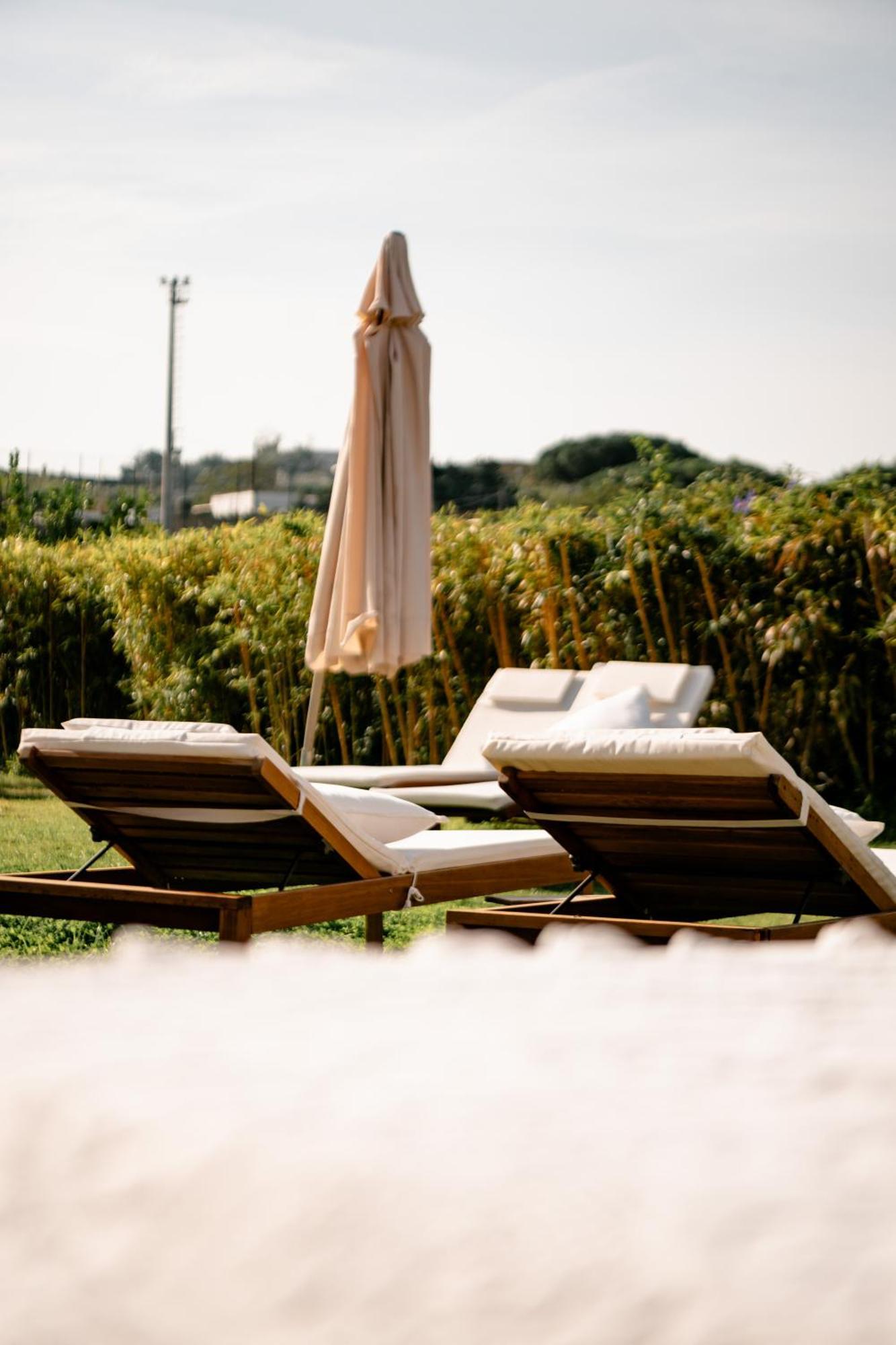 Tenuta Calitto Wine Resort E Spa อีสเกีย ภายนอก รูปภาพ